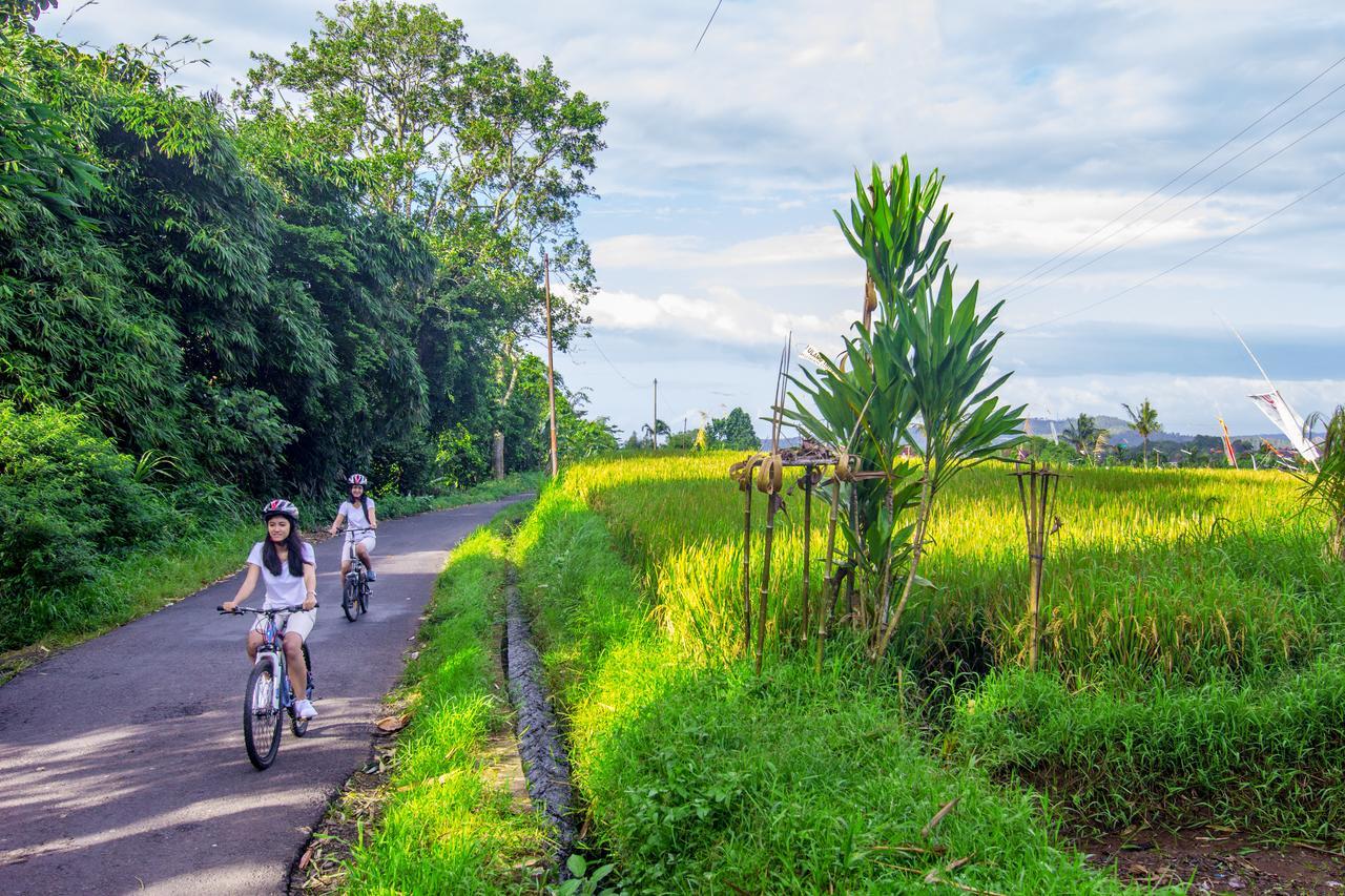 Padangan  Kebun Kita Eco Lodge المظهر الخارجي الصورة