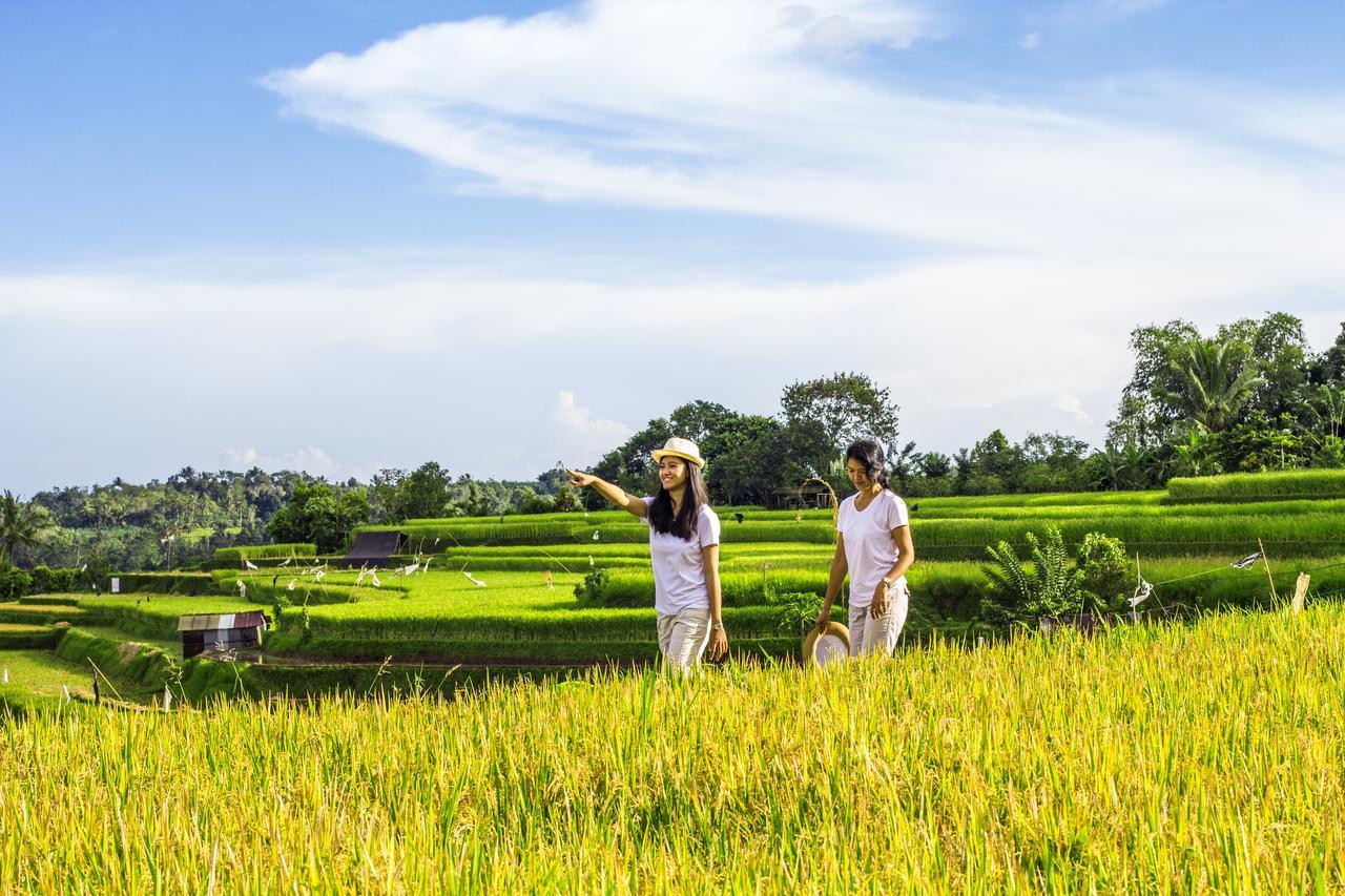Padangan  Kebun Kita Eco Lodge المظهر الخارجي الصورة